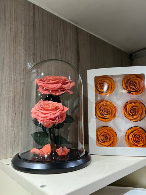 Rosas eternas - Imagen 3