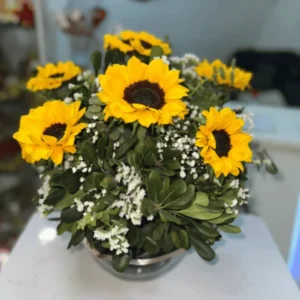 Pecera de 8 girasoles