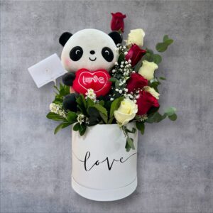 Box de peluche + rosas