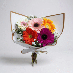 5 gerberas mix