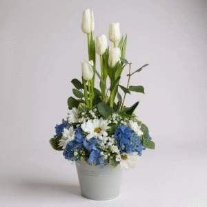 Balde de tulipanes blancos