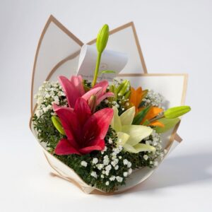 Mix de colores de lilium