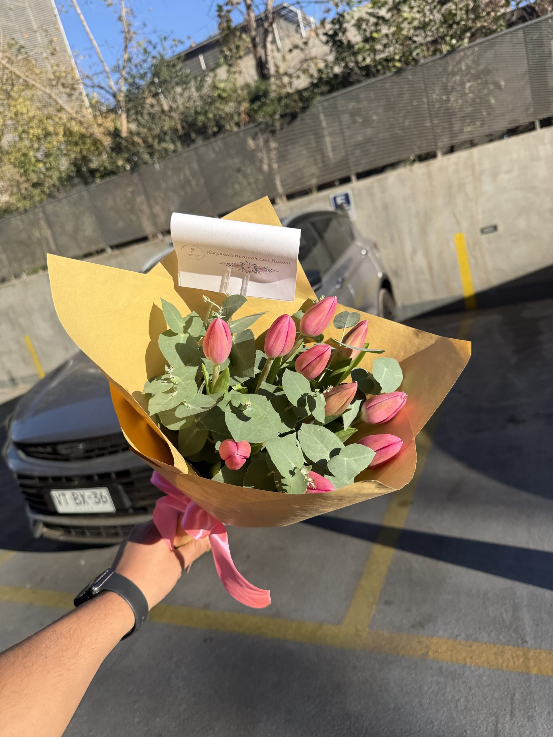 Tulipanes rosados con eucaliptos