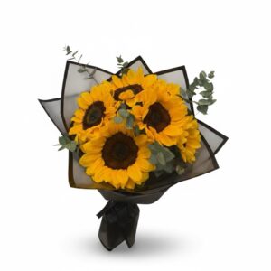 6 girasoles con eucaliptos 🌻