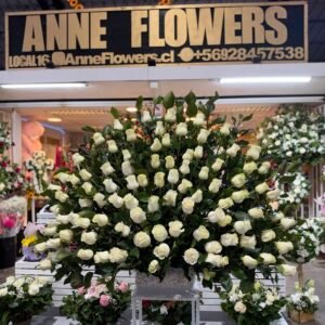 Abanico 100 rosas blancas