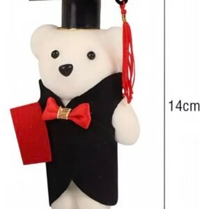 Oso de graduación pequeño hombre