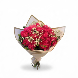 Ramo 15 claveles fucsias + gypsophilia