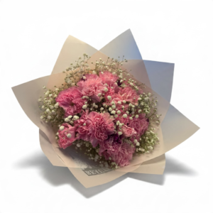 Ramo de 15 claveles rosados y gypsophilia